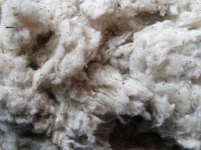 Cotton scrap