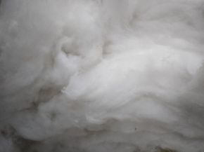Cotton recycled from fabric