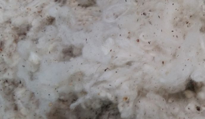 Cotton scrap